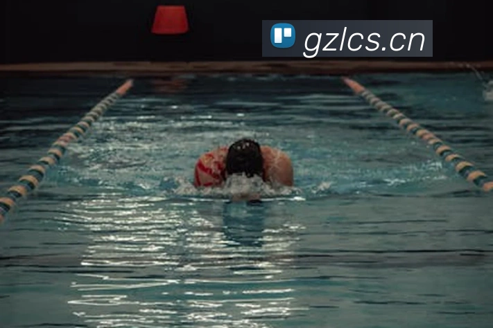 App Interface Preview