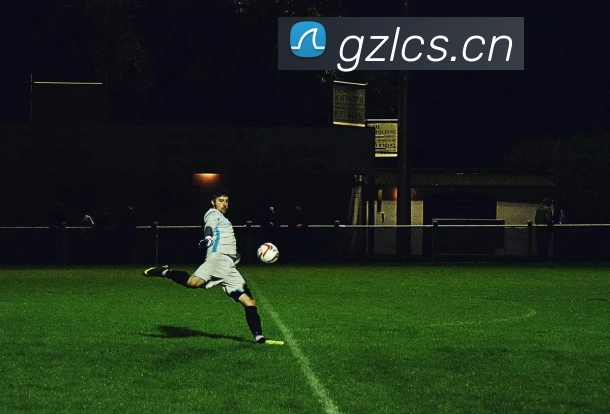 开云在线官网登录APP 封面图